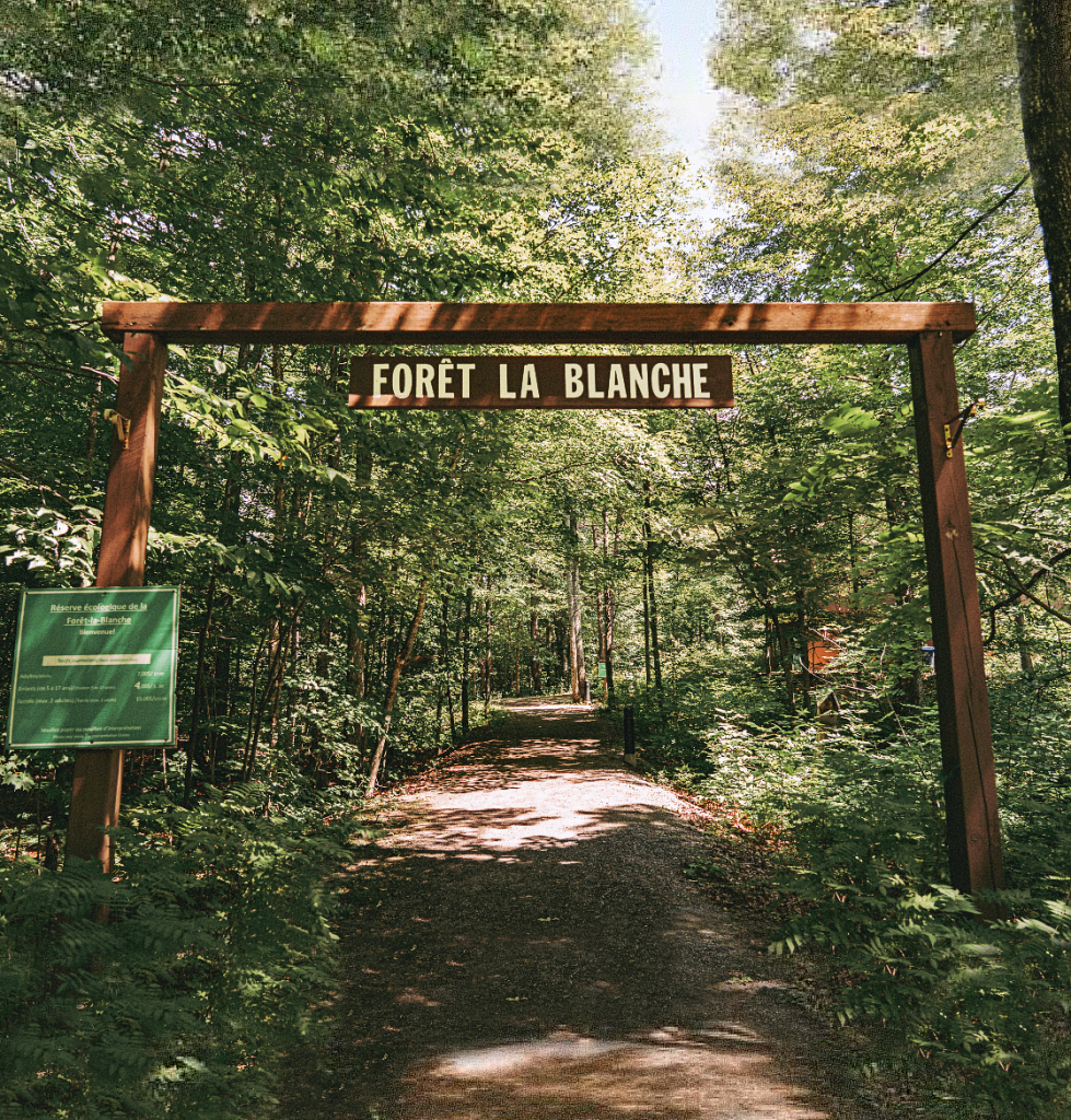 Image de l'entrée de la Forêt-la-Blanche