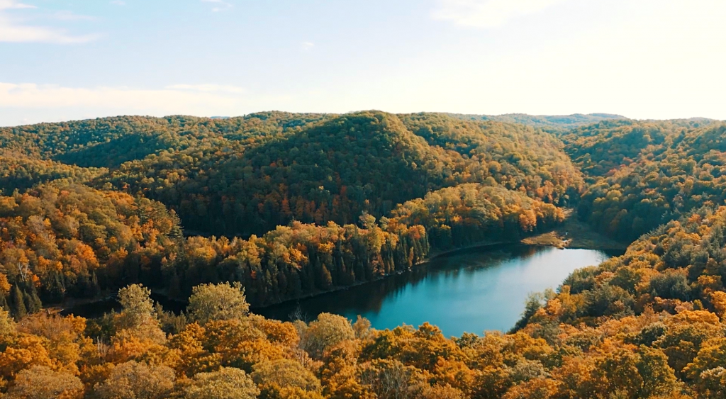 Vue de haut de la Forêt-la-Blanche