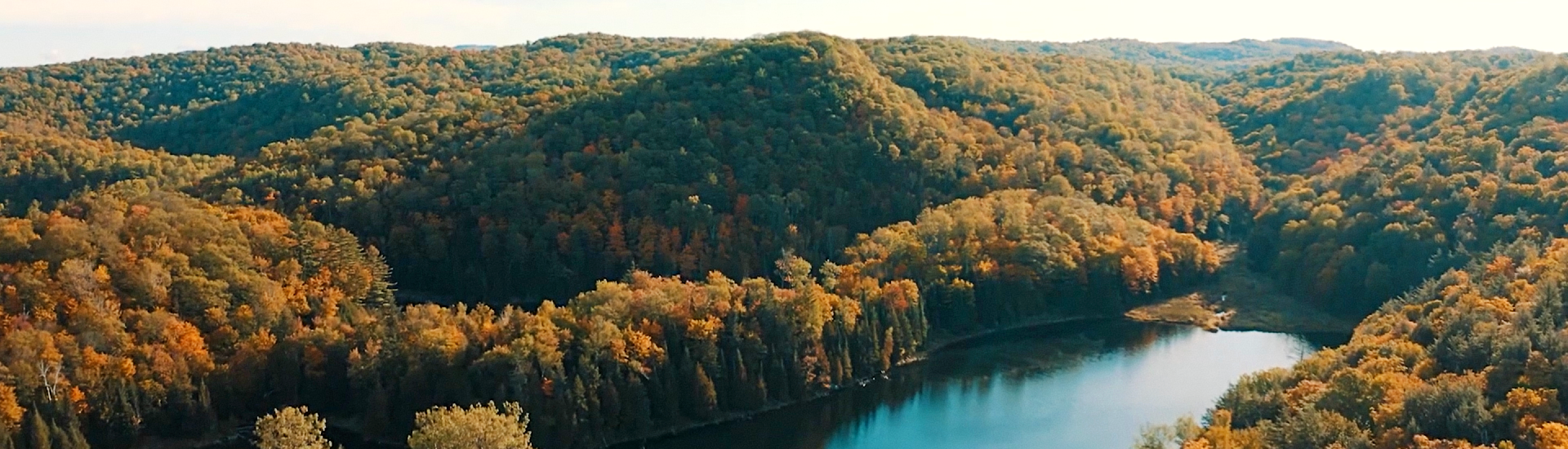 Vue de haut de la Forêt-la-Blanche