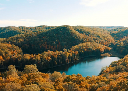 Vue de haut de la Forêt-la-Blanche