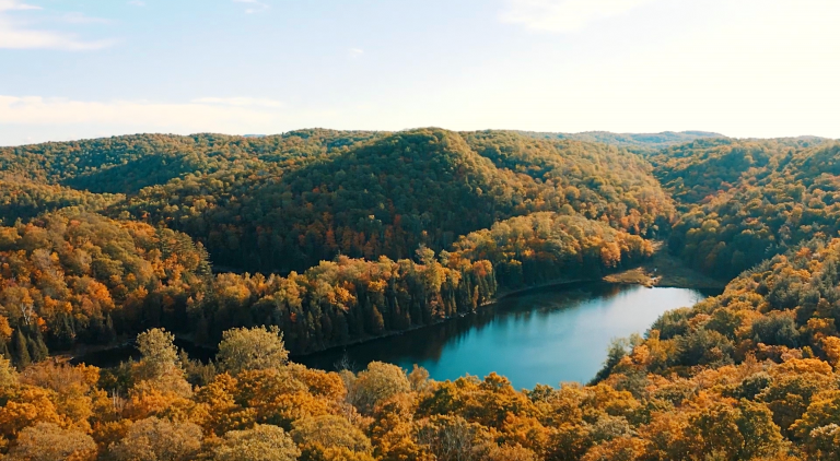 Vue de haut de la Forêt-la-Blanche