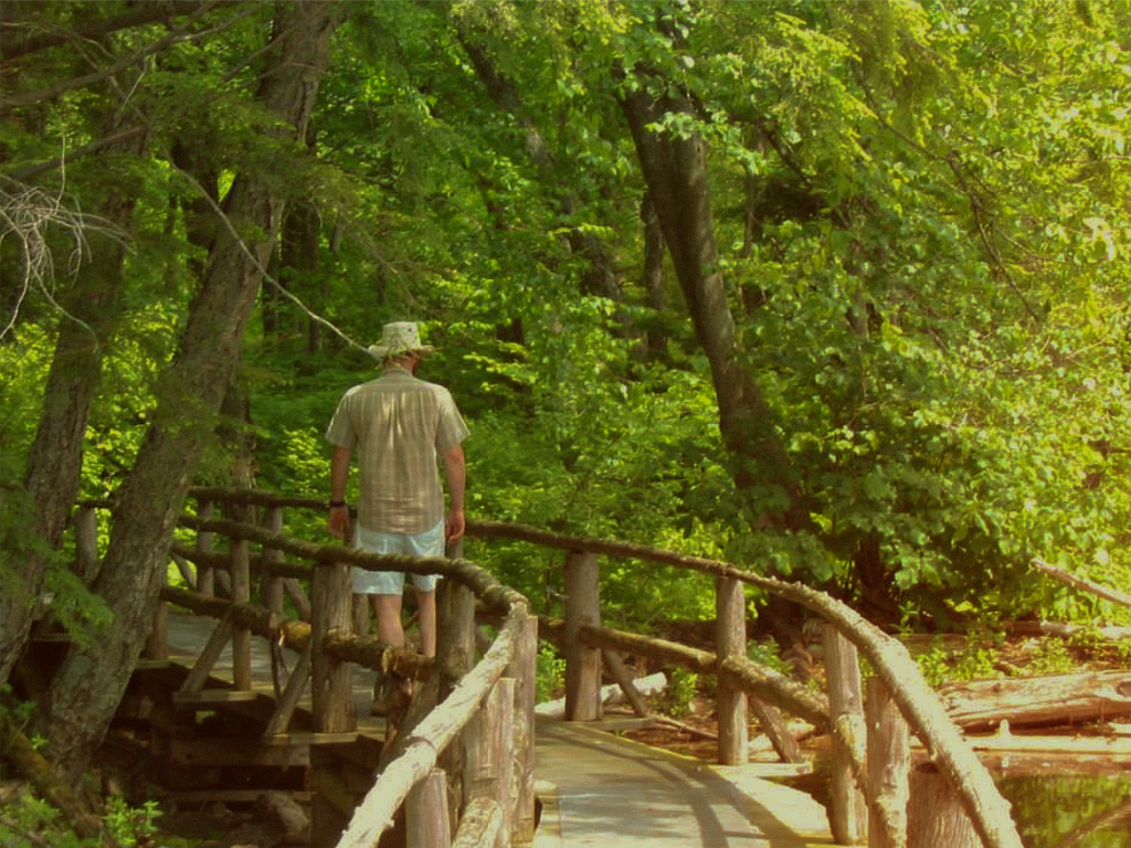 Image d'un homme qui marche sur le sentier de la forêt