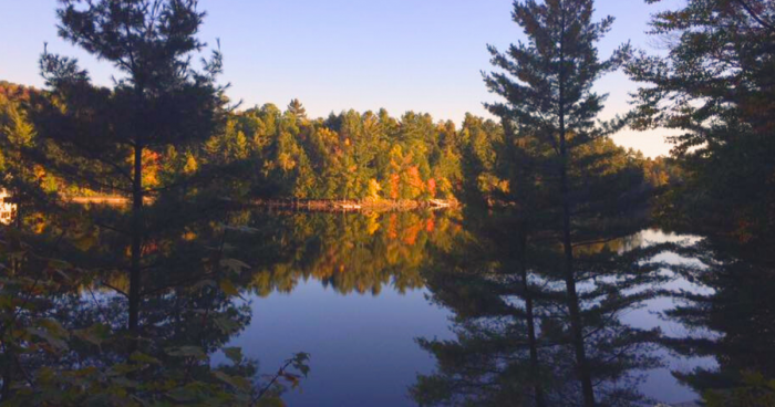 Vue du lac à travers les arbres