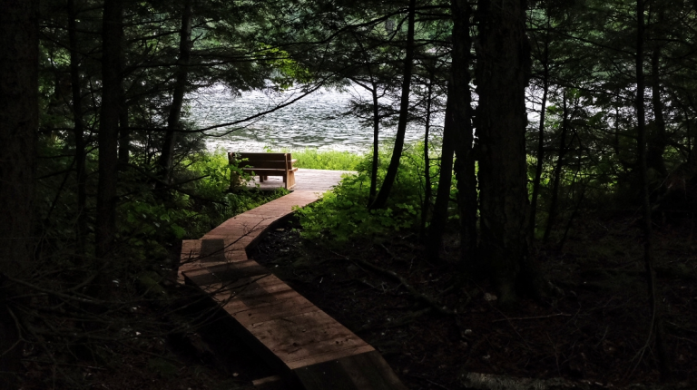 Banc commémoratif en bois au bout d'un sentier qui fait face au lac