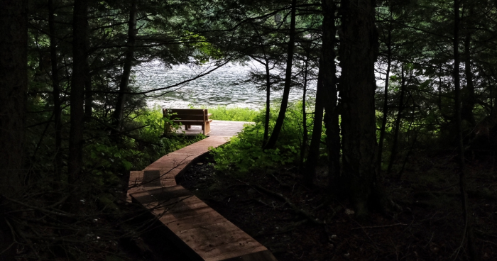 Banc commémoratif en bois au bout d'un sentier qui fait face au lac