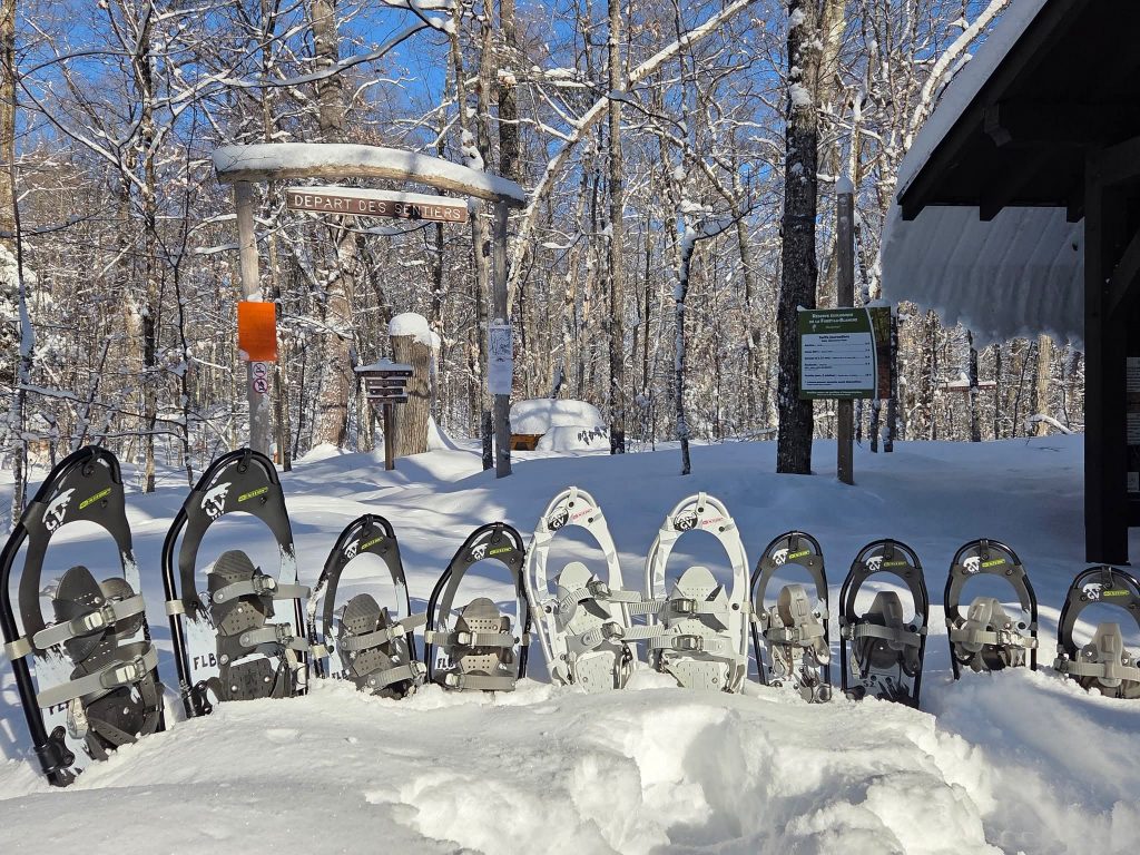 Cinq paires de raquettes dans la neige